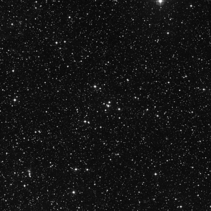 Image of NGC 6525 - Open Cluster in Ophiuchus star