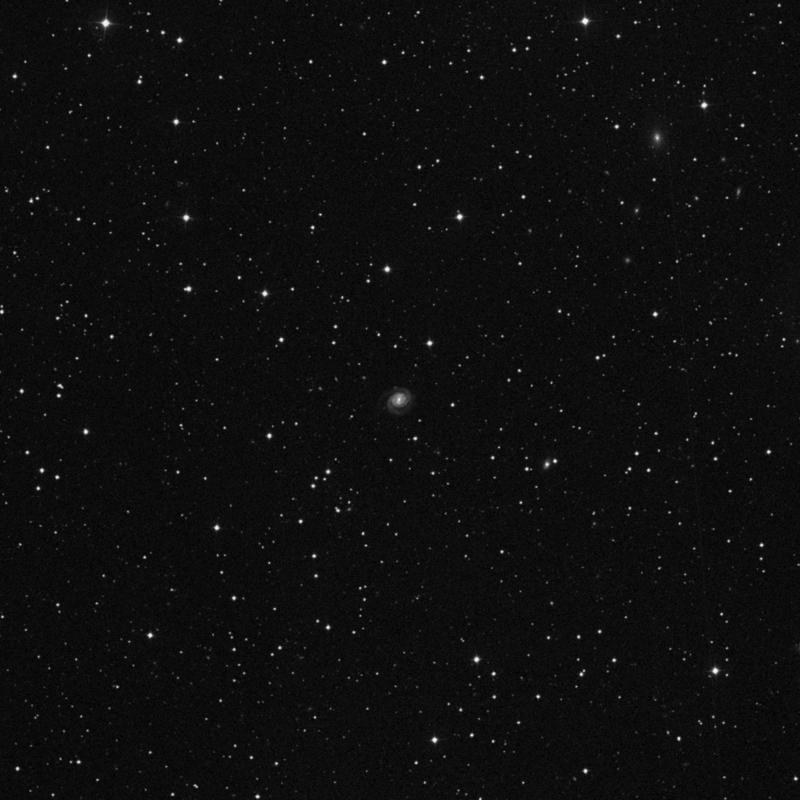 Image of NGC 6536 - Barred Spiral Galaxy in Draco star