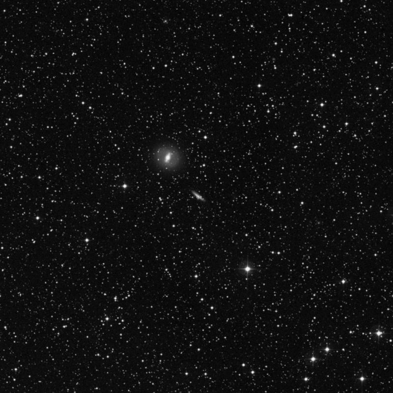 Image of NGC 6548 - Spiral Galaxy in Hercules star