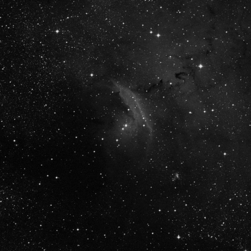 Image of NGC 6559 - Nebula in Sagittarius star