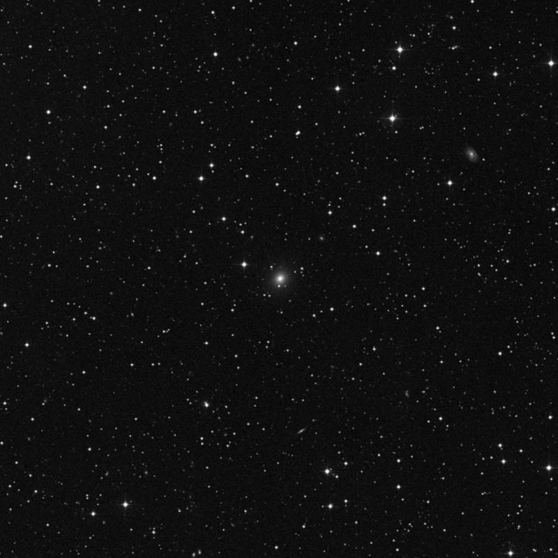 Image of IC 1244 - Elliptical Galaxy in Hercules star