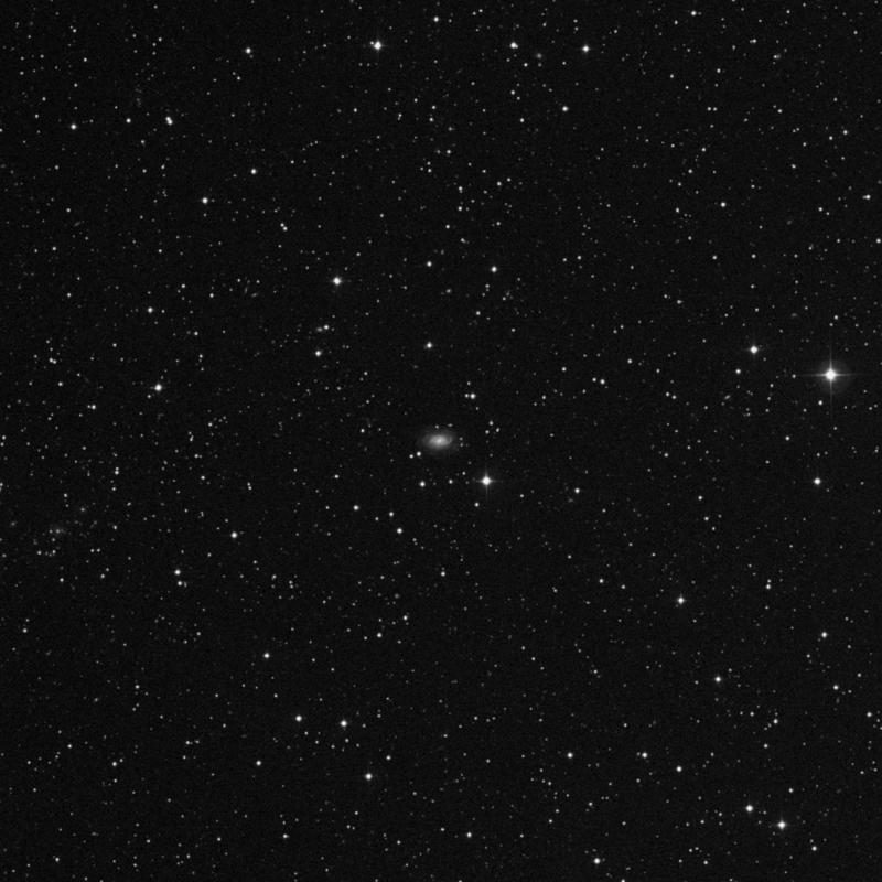 Image of IC 1256 - Spiral Galaxy in Hercules star