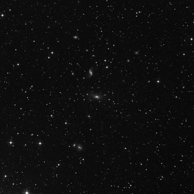 Image of IC 1262 - Elliptical Galaxy in Hercules star