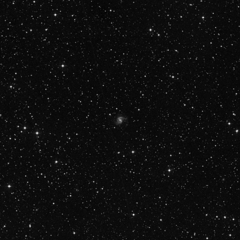 Image of IC 1269 - Spiral Galaxy in Hercules star