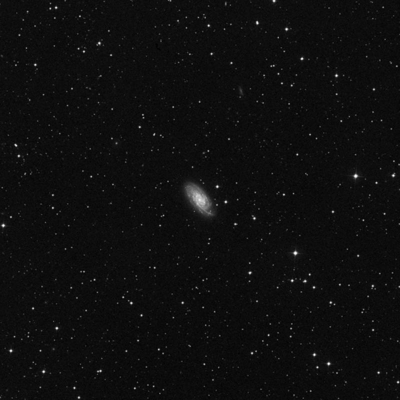 Image of NGC 6643 - Spiral Galaxy in Draco star