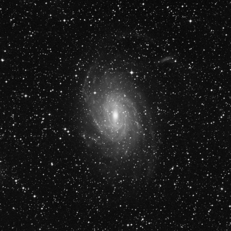 Image of NGC 6744 - Spiral Galaxy in Pavo star