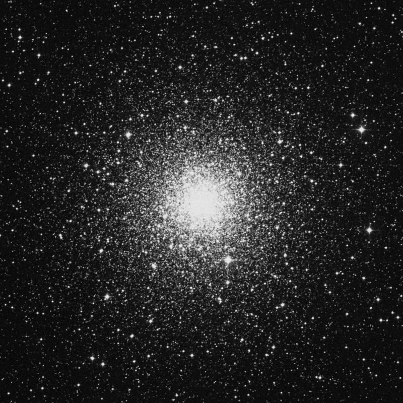 Image of NGC 6752 - Globular Cluster in Pavo star
