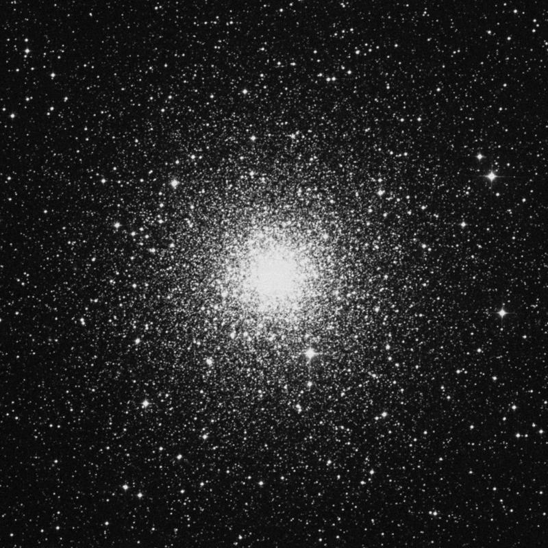 Image of NGC 6752 - Globular Cluster in Pavo star