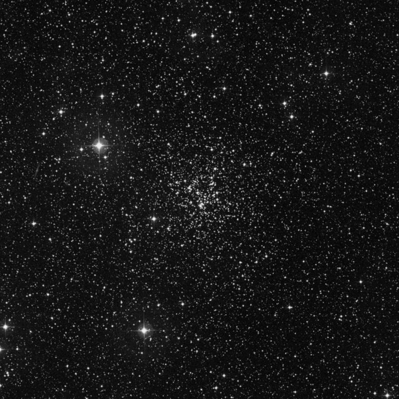 Image of NGC 6819 (Foxhead Cluster) - Open Cluster in Cygnus star