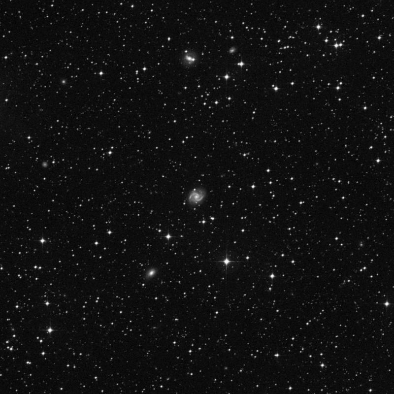 Image of NGC 6878 - Intermediate Spiral Galaxy in Sagittarius star