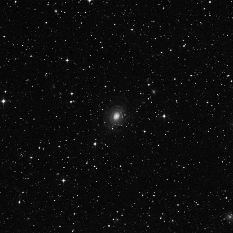 Image of NGC 6902 - Barred Spiral Galaxy in Sagittarius star