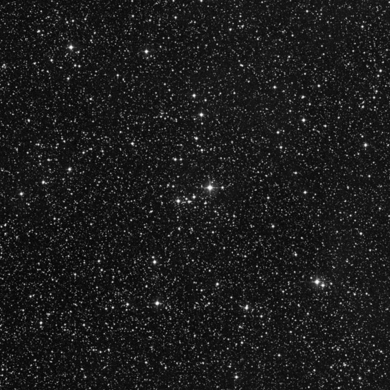 Image of NGC 6904 - Open Cluster in Vulpecula star