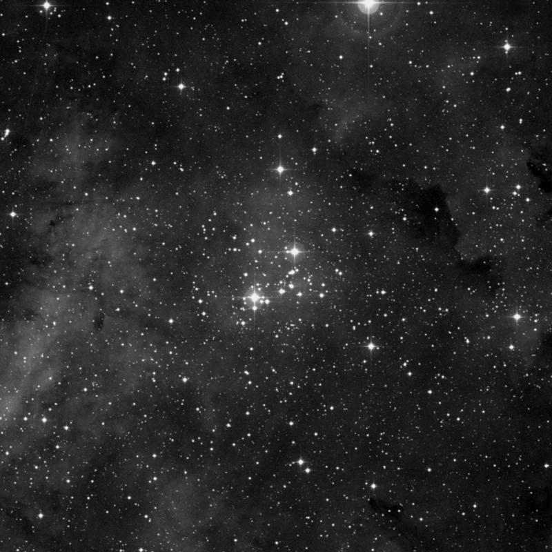 Image of NGC 6910 - Open Cluster in Cygnus star