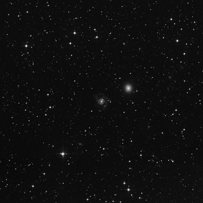 Image of NGC 6937 - Spiral Galaxy in Indus star