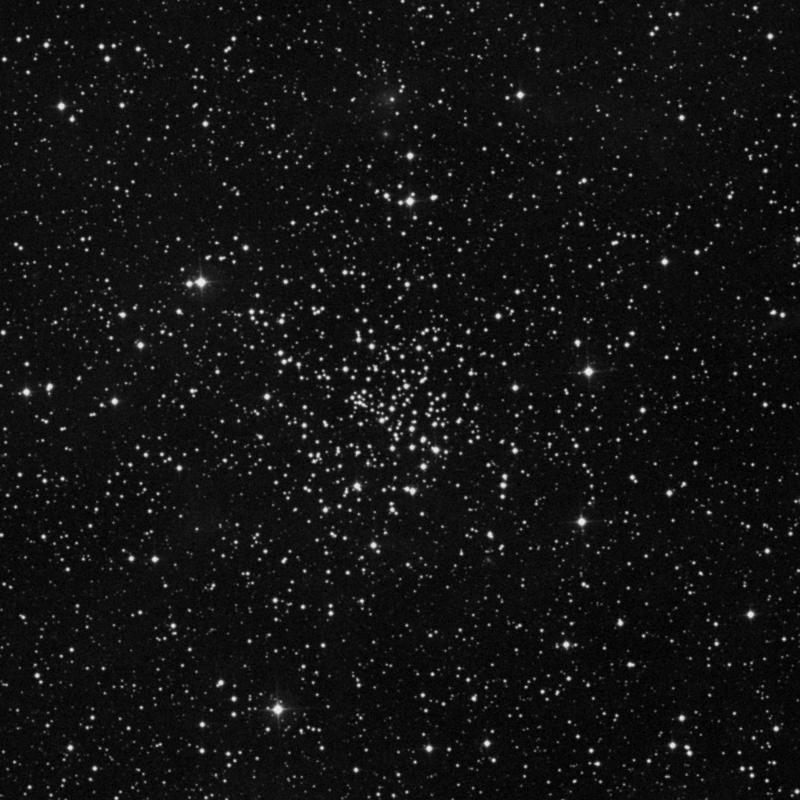 Image of NGC 6939 - Open Cluster in Cepheus star