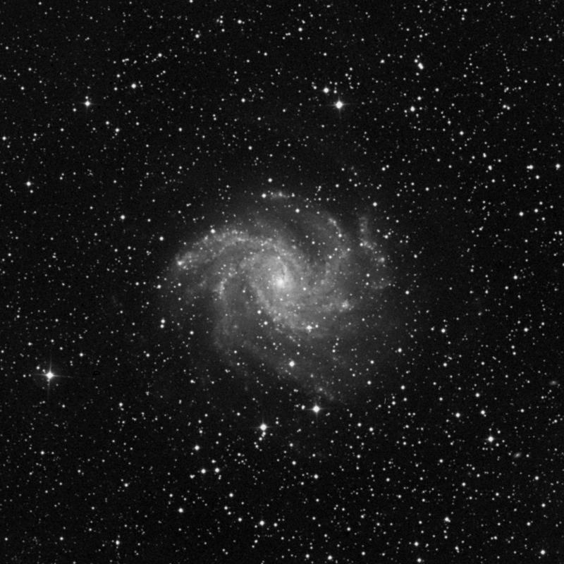 Image of NGC 6946 (Fireworks Galaxy) - Intermediate Spiral Galaxy in Cygnus star