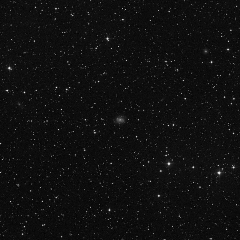 Image of NGC 6949 - Spiral Galaxy in Cepheus star