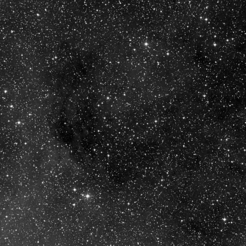 Image of NGC 6996 - Association of Stars in Cygnus star