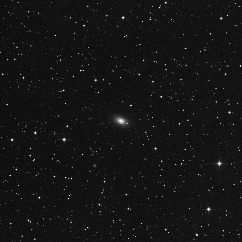 Image of NGC 7029 - Elliptical Galaxy in Indus star