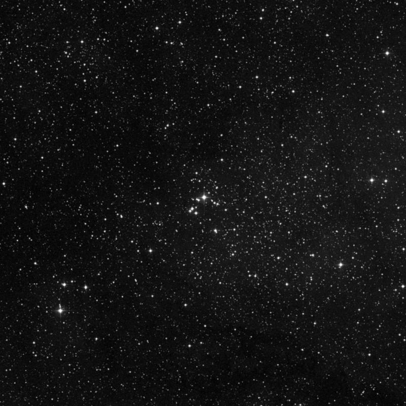 Image of NGC 7031 - Open Cluster in Cygnus star