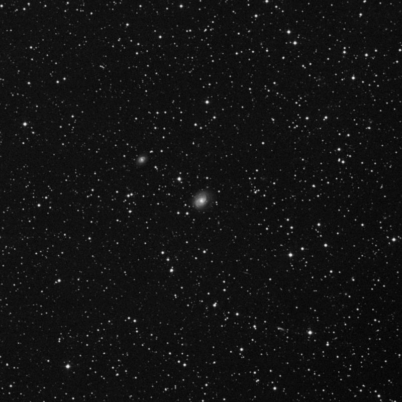 Image of NGC 7042 - Spiral Galaxy in Pegasus star