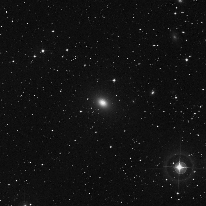 Image of NGC 7049 - Lenticular Galaxy in Indus star