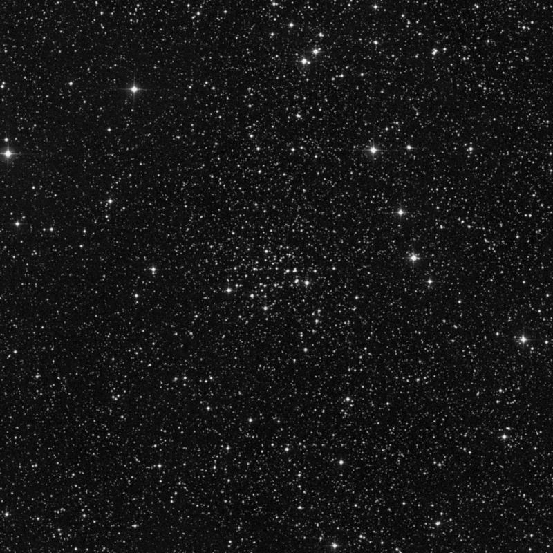 NGC 7062 - Open Cluster in Cygnus | TheSkyLive.com