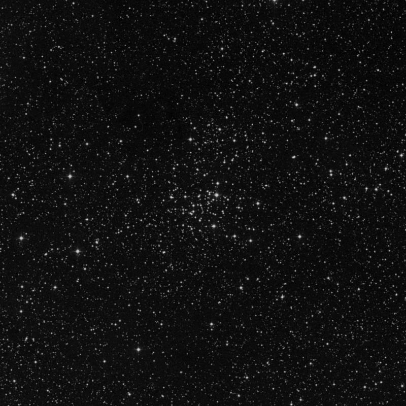 Image of NGC 7086 - Open Cluster in Cygnus star