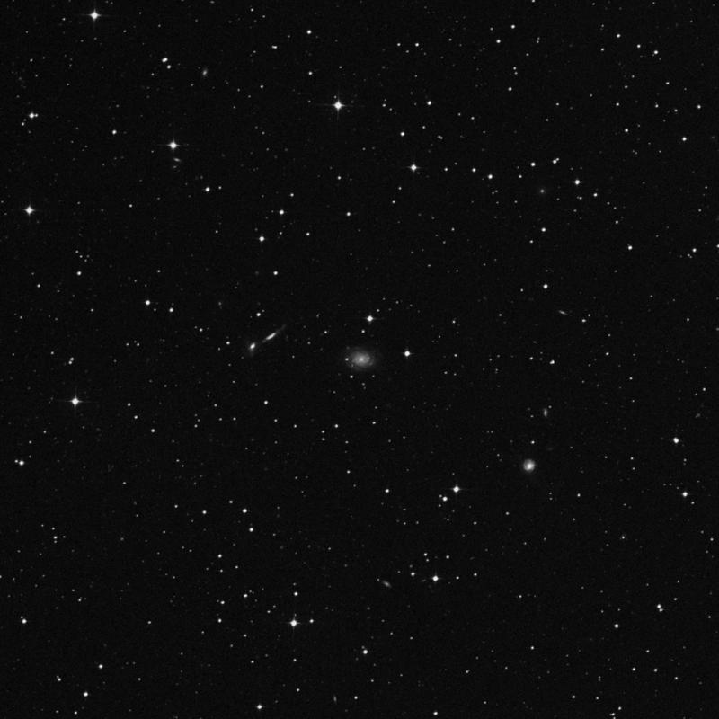 Image of NGC 7106 - Intermediate Spiral Galaxy in Indus star