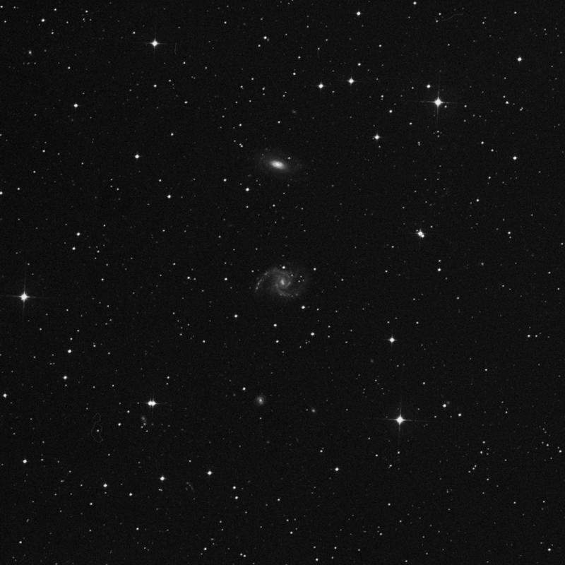 Image of NGC 7125 - Intermediate Spiral Galaxy in Indus star