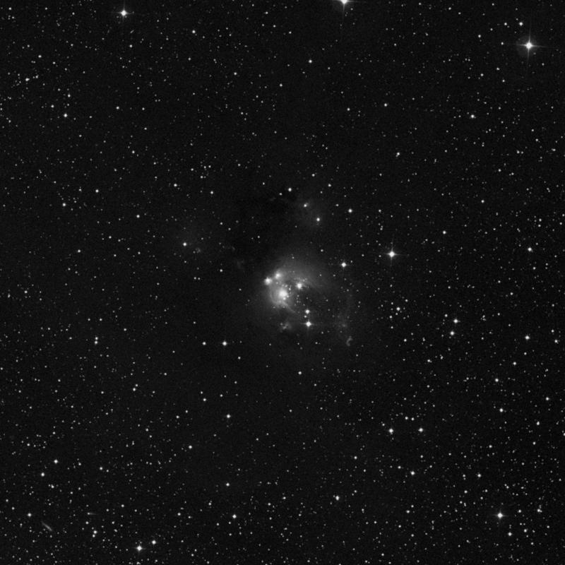 Image of NGC 7129 - Star Cluster + Nebula in Cepheus star