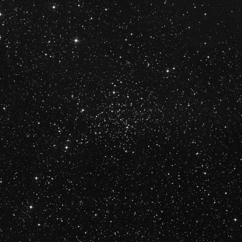 Image of NGC 7142 - Open Cluster in Cepheus star