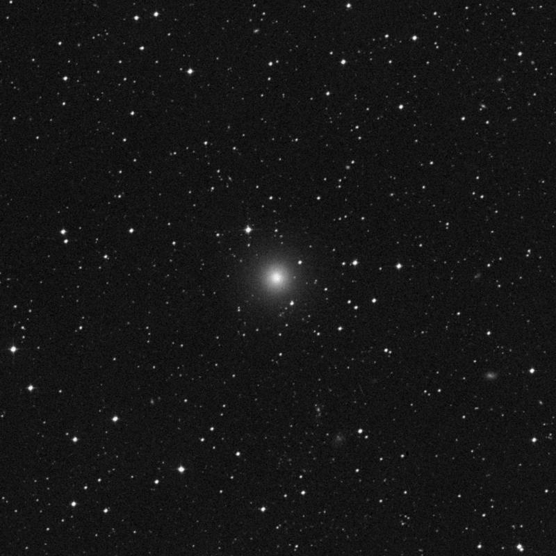 Image of NGC 7144 - Elliptical Galaxy in Grus star