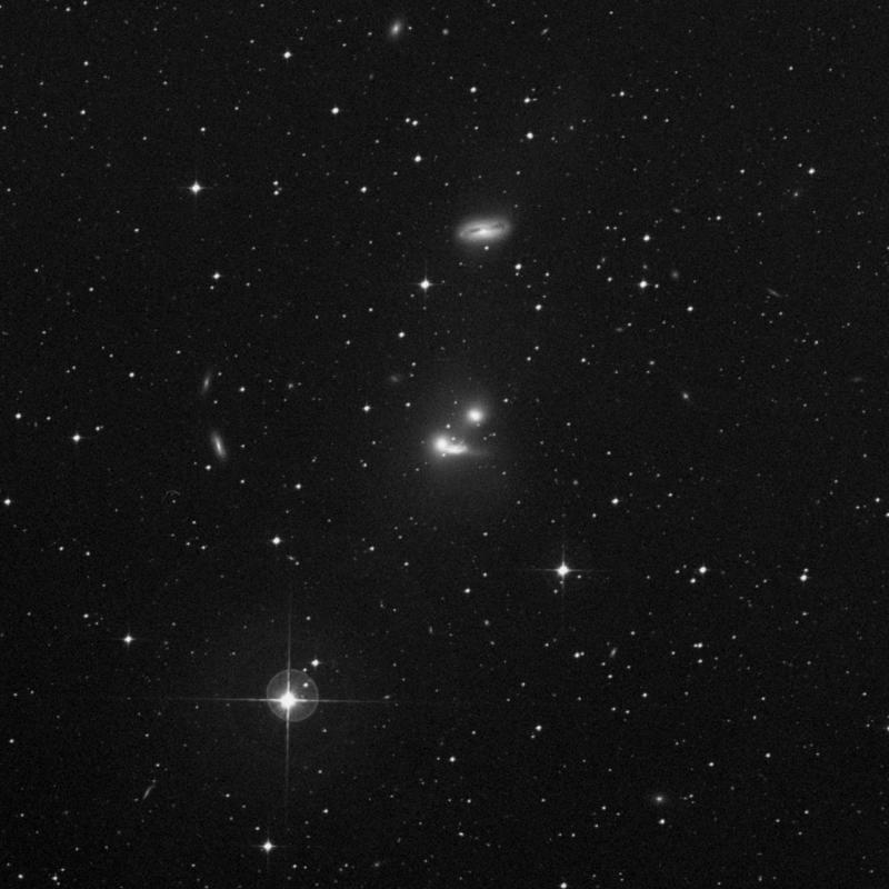 Image of NGC 7176 - Elliptical Galaxy in Piscis Austrinus star