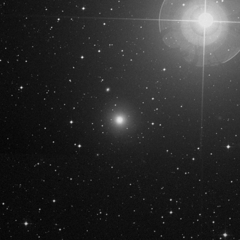 Image of NGC 7213 - Spiral Galaxy in Grus star