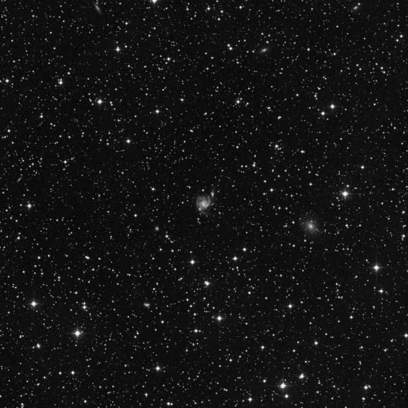 Image of NGC 7223 - Galaxy in Lacerta star