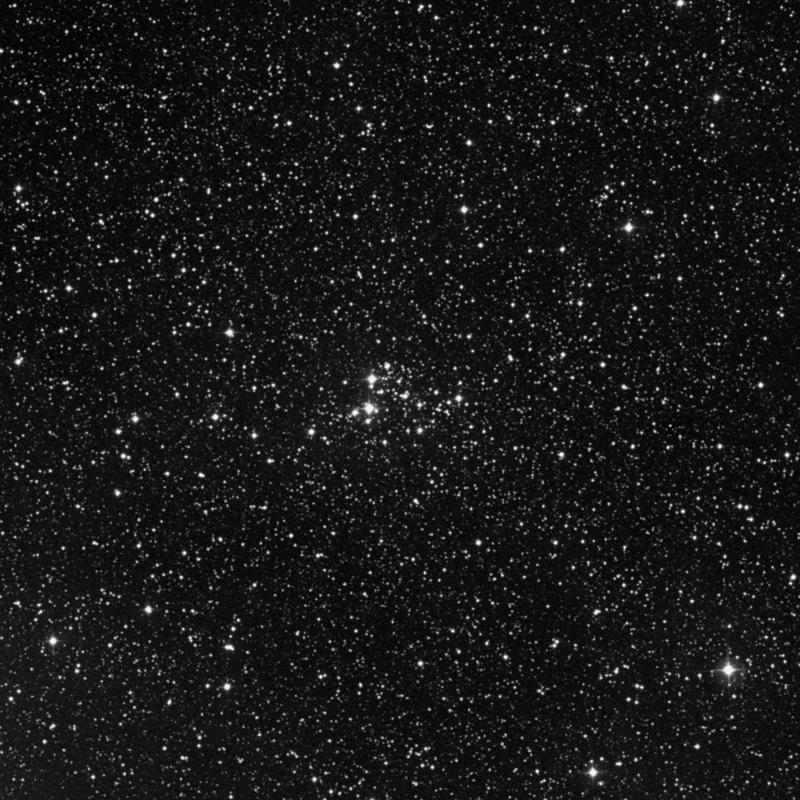 Image of NGC 7234 - Open Cluster in Cepheus star