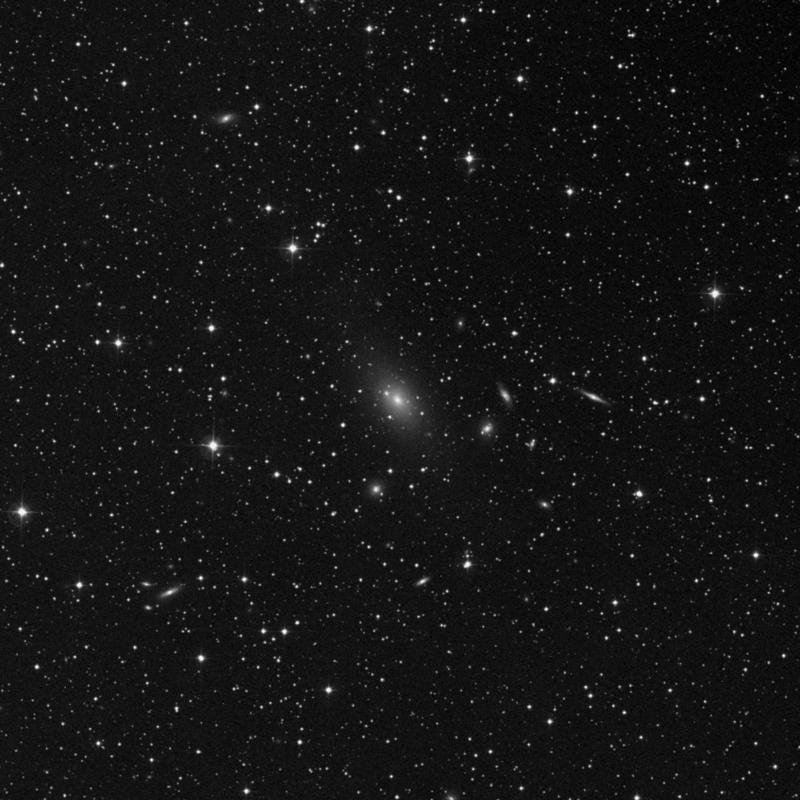 Image of NGC 7242 NED01 - Elliptical Galaxy in Lacerta star