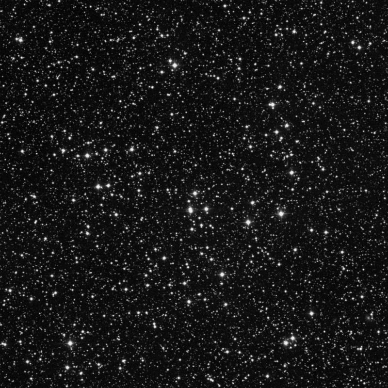 Image of NGC 7243 - Open Cluster in Lacerta star
