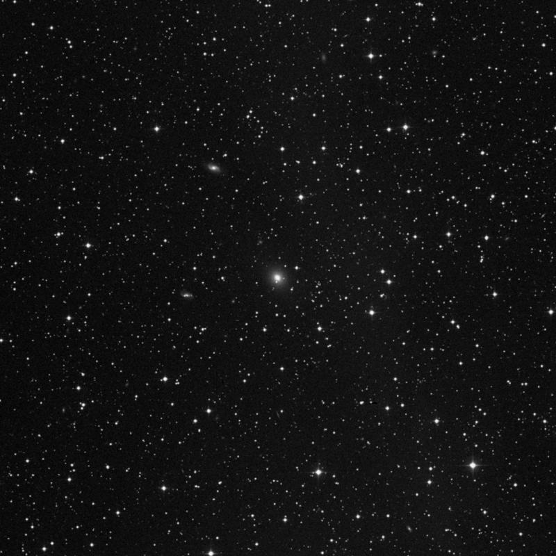 Image of NGC 7330 - Elliptical Galaxy in Lacerta star