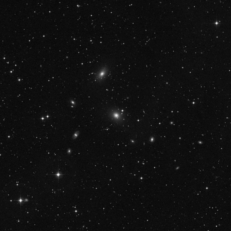 Image of NGC 7385 - Elliptical Galaxy in Pegasus star
