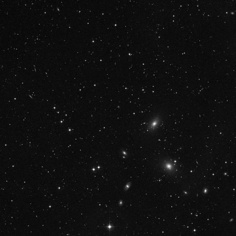 Image of NGC 7388 - Star in Pegasus star