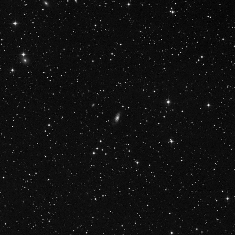 Image of NGC 7407 - Spiral Galaxy in Pegasus star