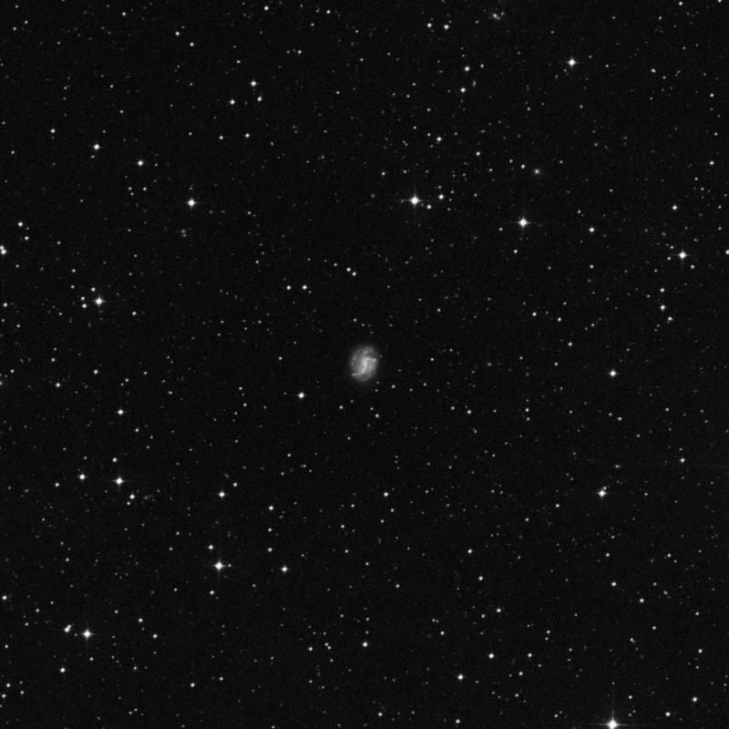 Image of NGC 7408 - Galaxy in Tucana star