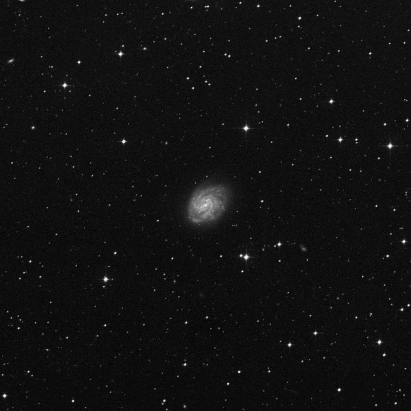 Image of NGC 7418 - Spiral Galaxy in Grus star