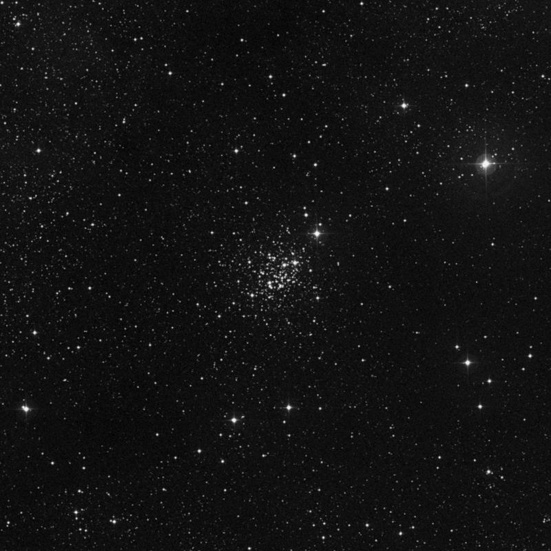 Image of NGC 7419 - Open Cluster in Cepheus star