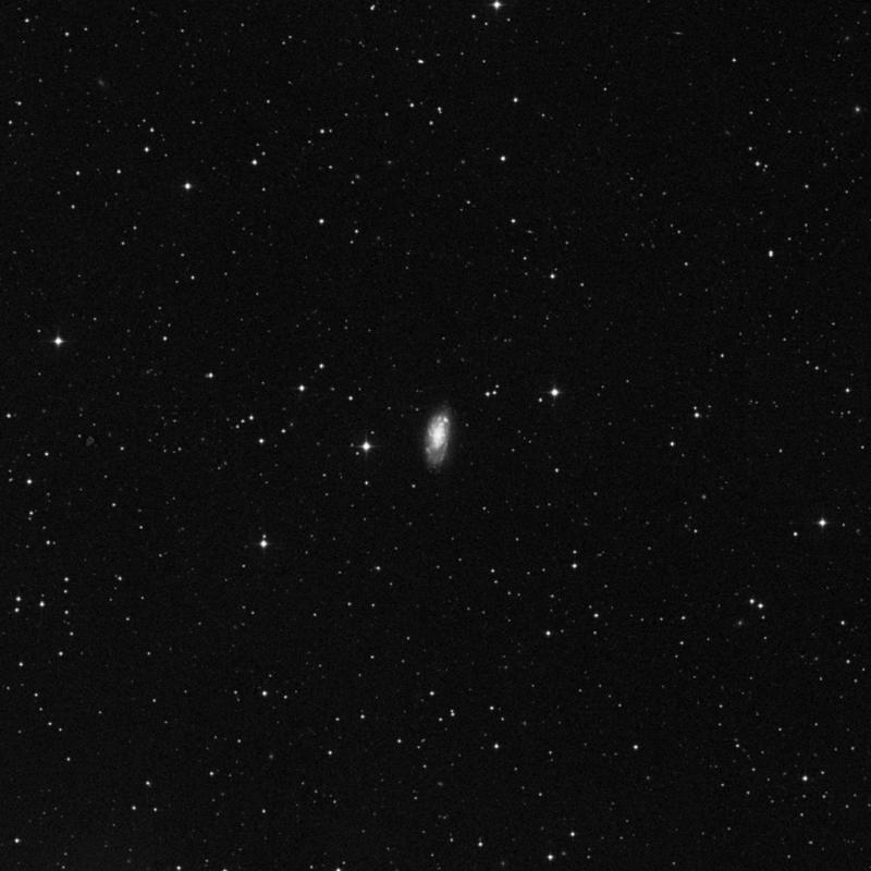 Image of NGC 7448 - Spiral Galaxy in Pegasus star