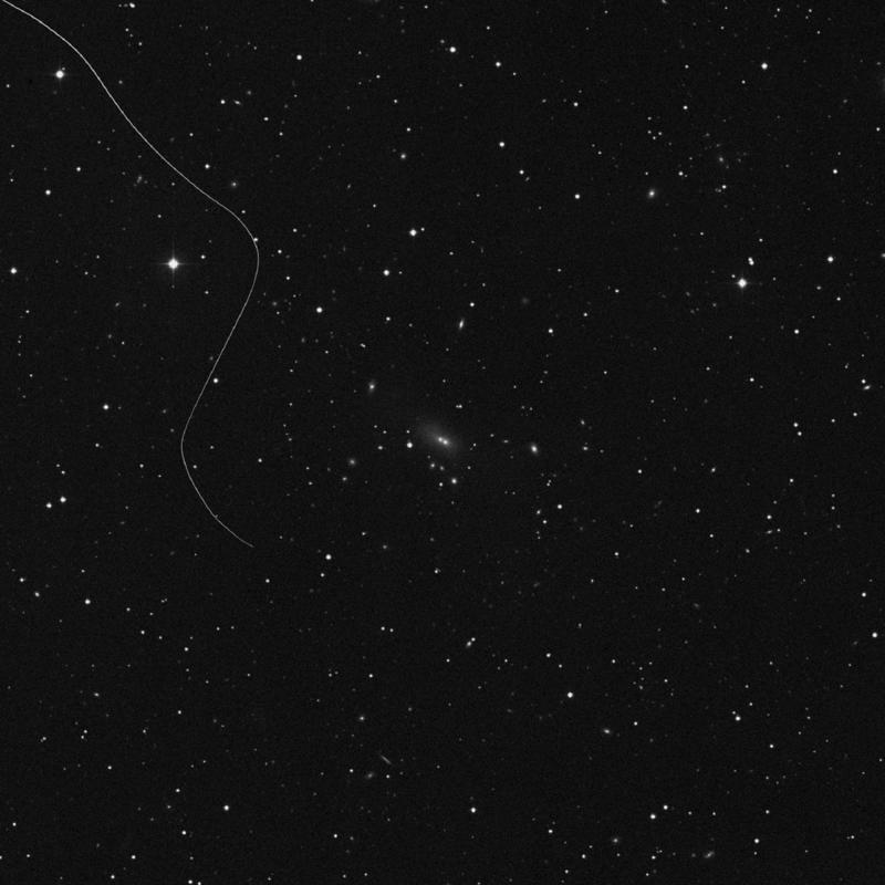 Image of NGC 7459 NED01 - Elliptical Galaxy in Pisces star