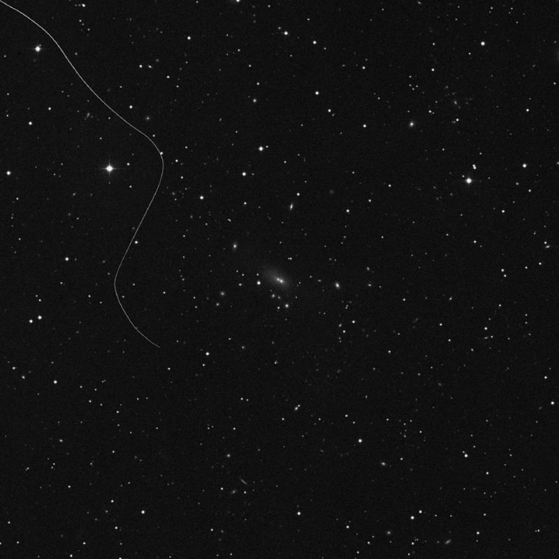 Image of NGC 7459 NED02 - Galaxy in Pisces star