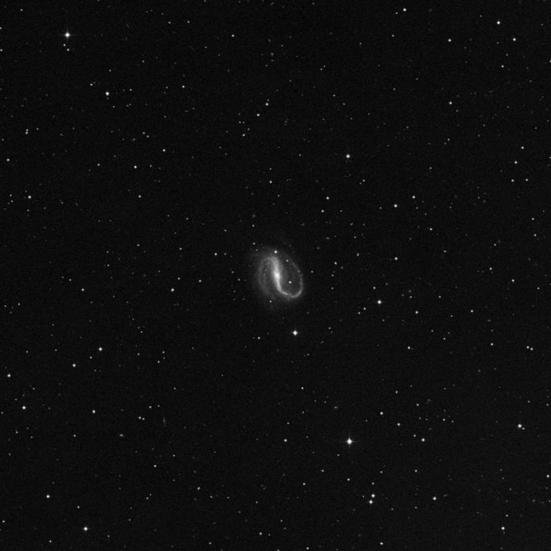 Image of NGC 7479 - Barred Spiral Galaxy in Pegasus star